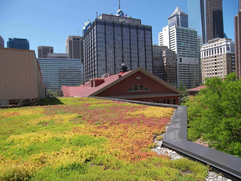 paysagiste-TENDE-min_green-roof-portfolio-4